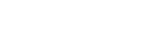 Logo Footer